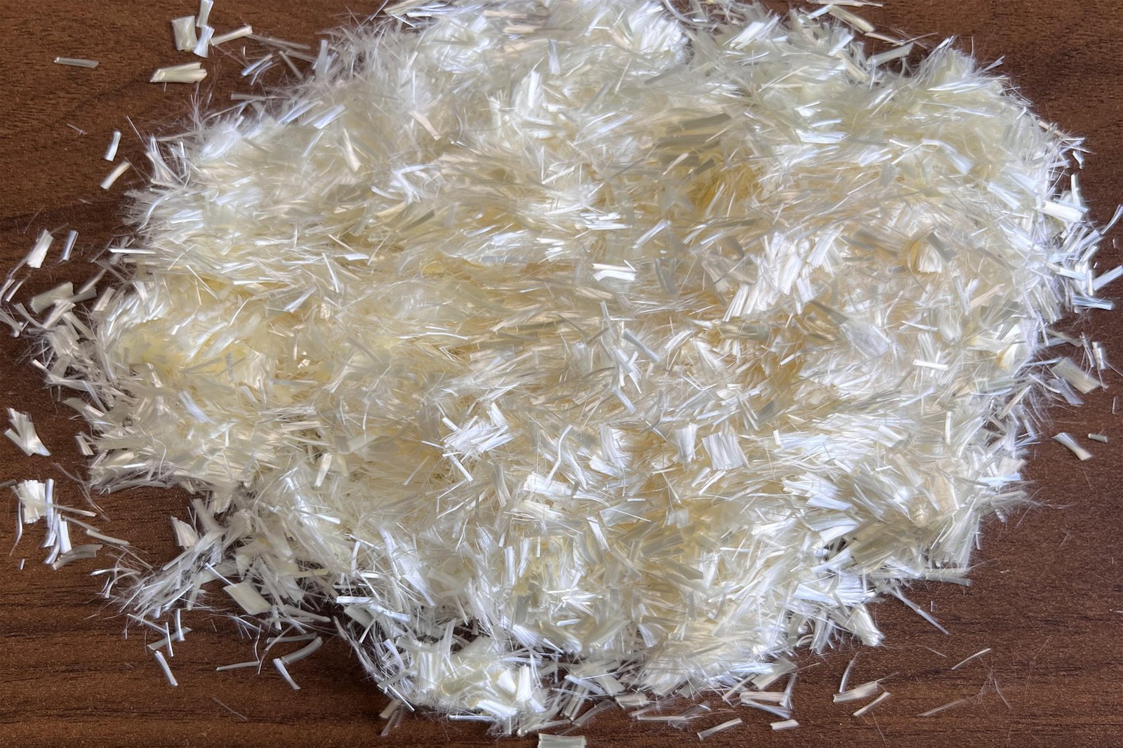 2024_12_27_11_11_IMG_9022-2 2024_12_27_11_11_IMG_9022-2